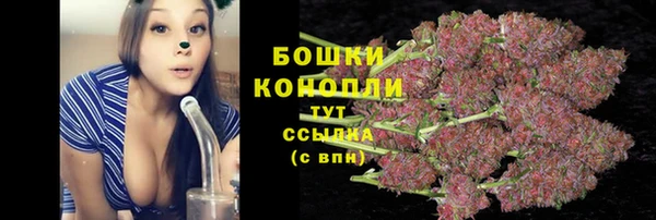 стафф Беломорск