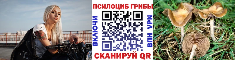 Псилоцибиновые грибы Psilocybe  Ермолино 